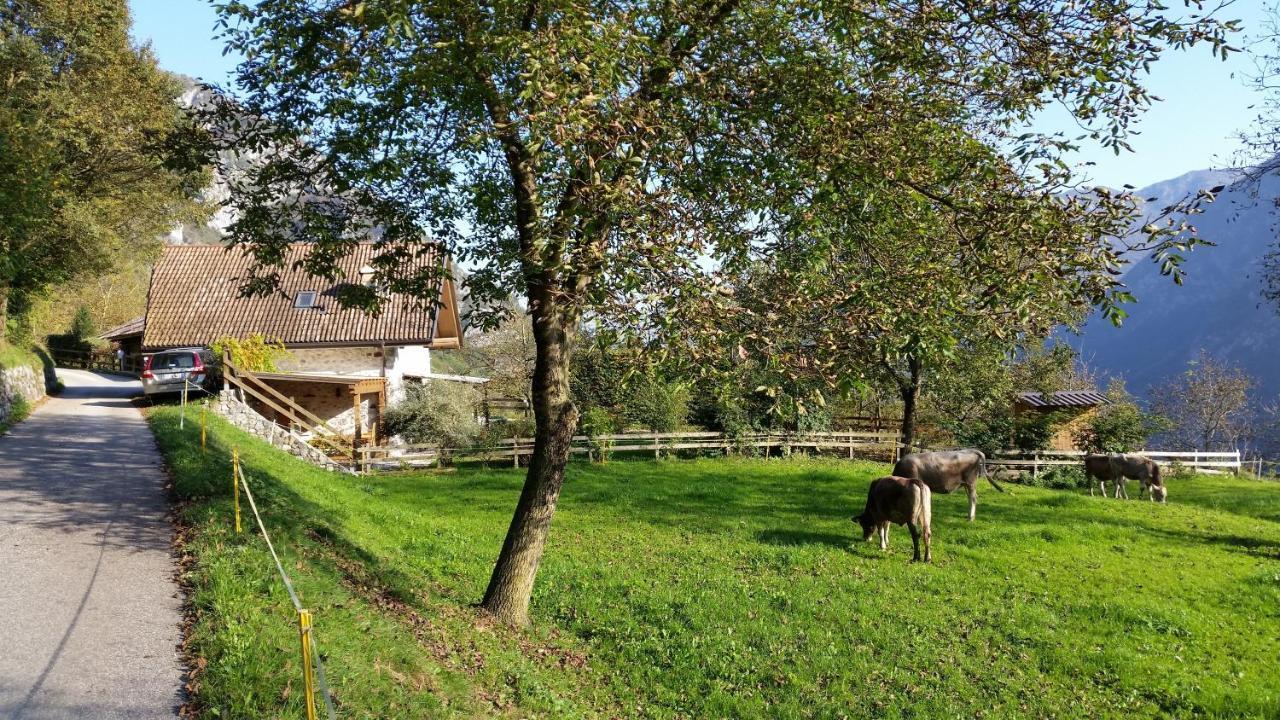 Chalet La Nos Molina di Ledro Zimmer foto